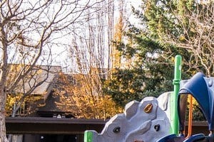Tacoma Apartments - The Lodge at Madrona Apartments - Playground